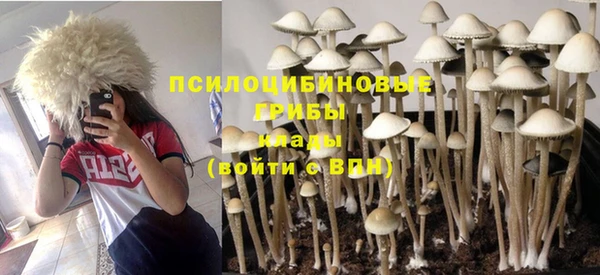 Альфа ПВП Балабаново